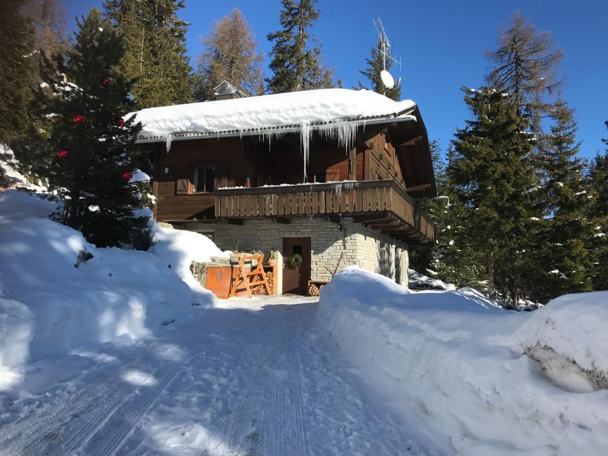 Kronplatz Ski Lodge Olang Екстер'єр фото