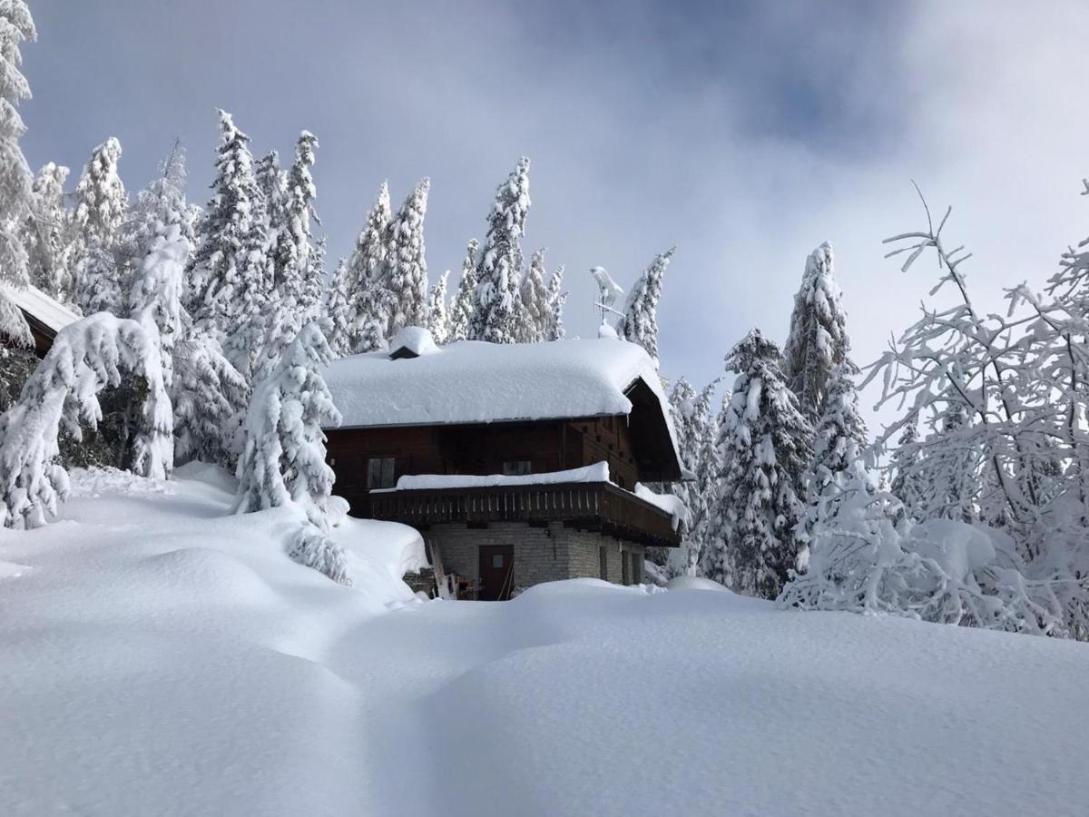 Kronplatz Ski Lodge Olang Екстер'єр фото